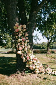 White and pink hydrangeas cascading up the trunk of a large oak tree as a floral wedding installation with green lawn beyond