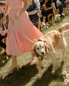 Golden retriever wearing floral crown walking down wedding ceremony aisle led by person in pink dress